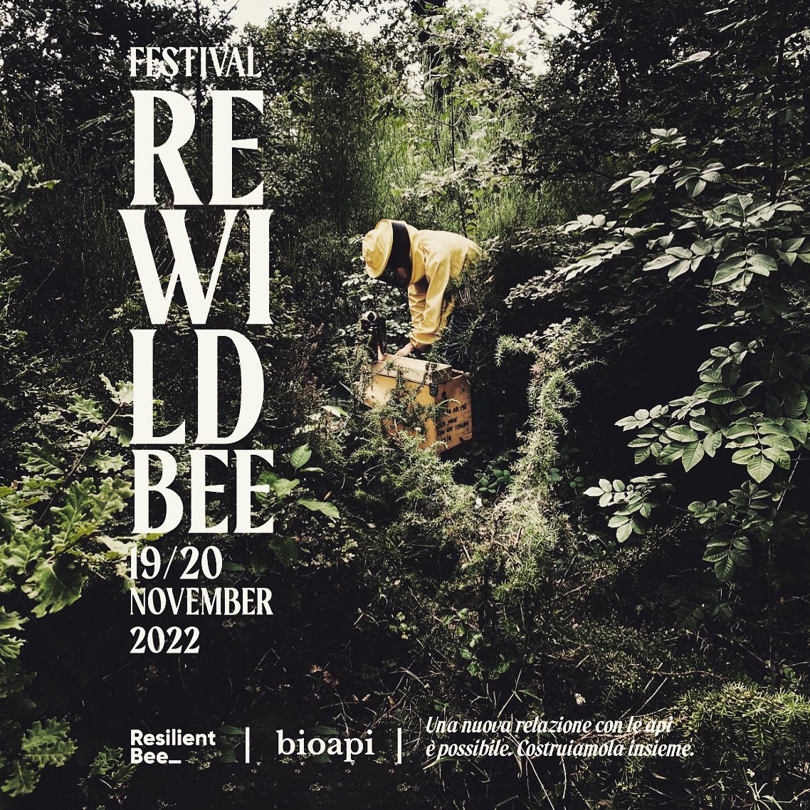 Festival REWILDBEE 19/20 novembre 2022